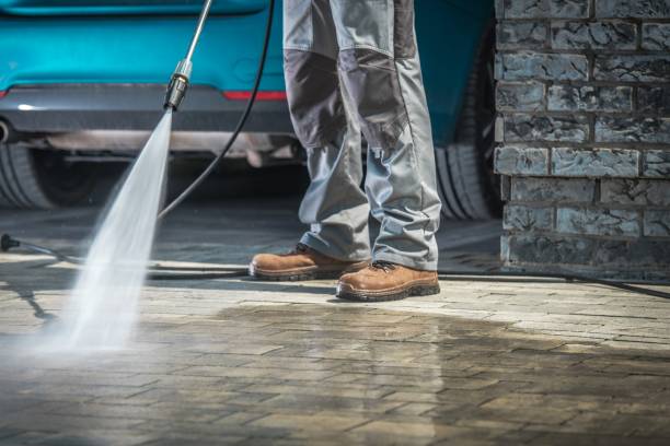 Best Fleet Vehicle Washing  in La Vernia, TX