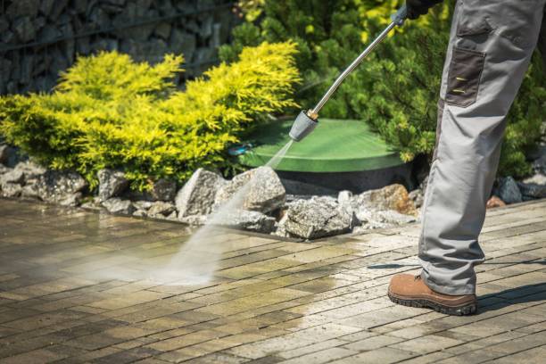 Best Dumpster Area Cleaning  in La Vernia, TX