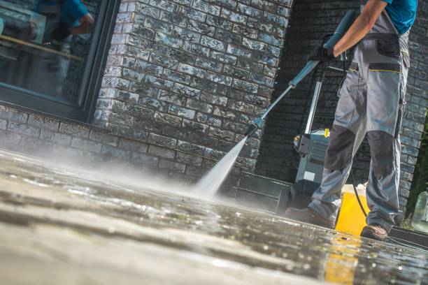 Best Animal Enclosure Cleaning  in La Vernia, TX