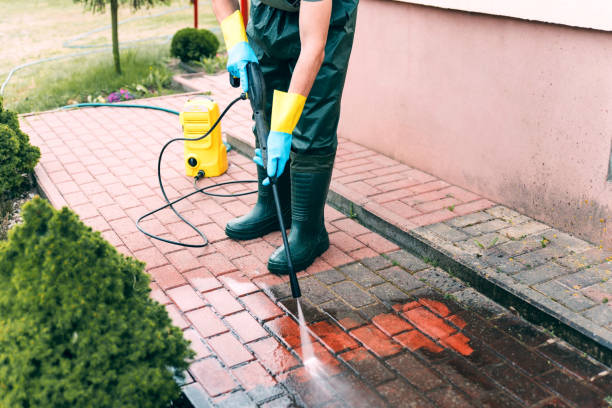 Best Building Exterior Washing  in La Vernia, TX